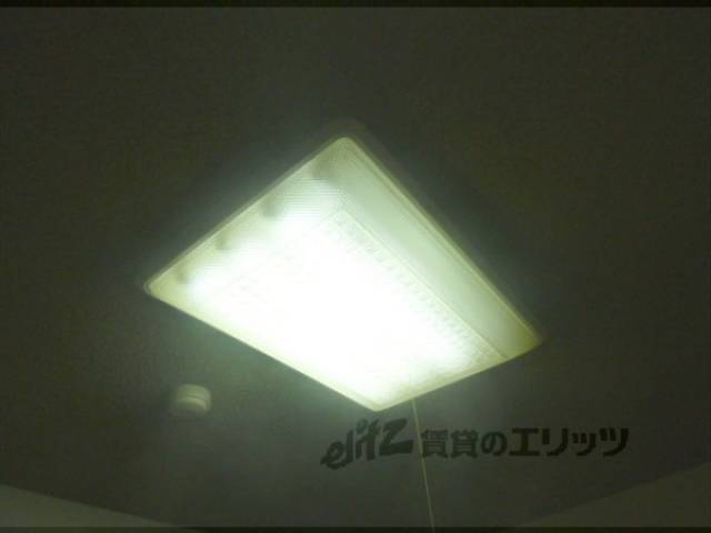 照明