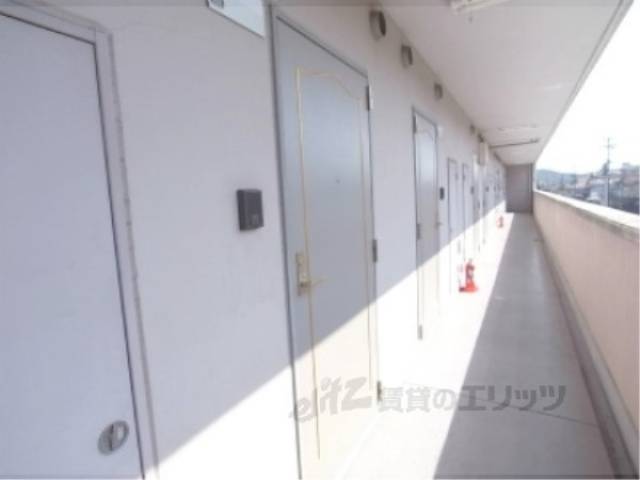 玄関　ドア