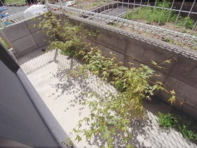 ベランダ