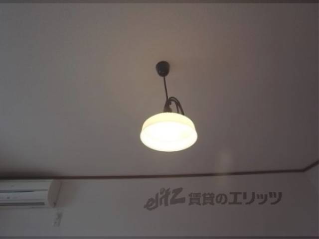照明
