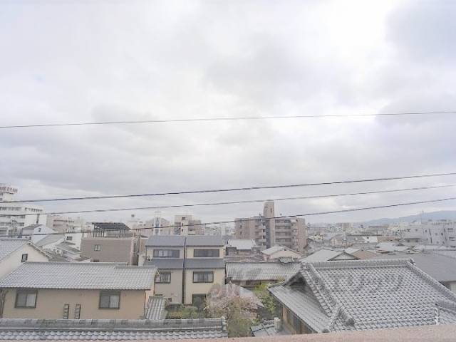眺め