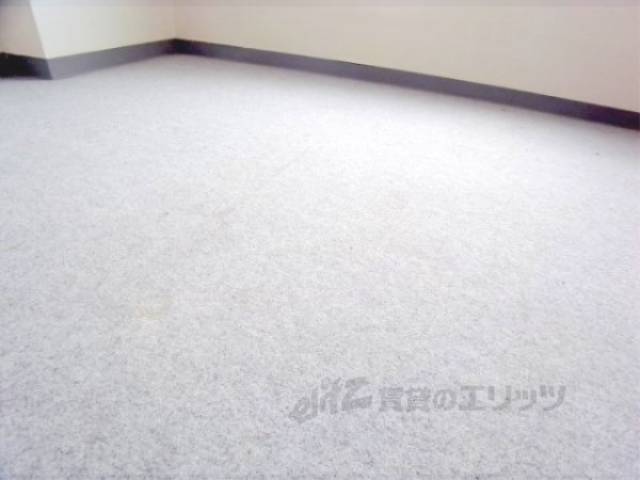 居室　カーペット