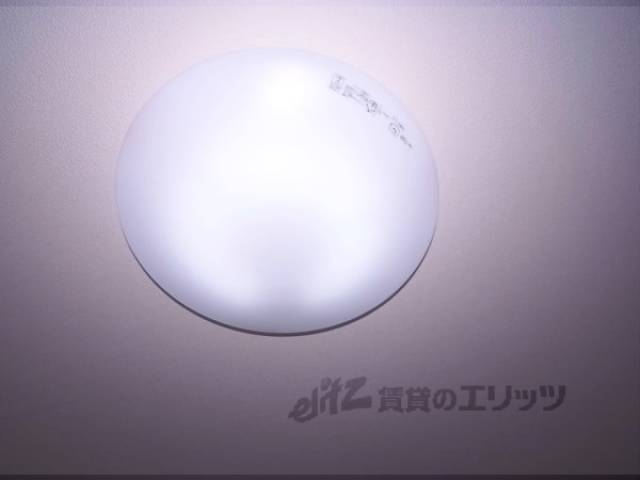 照明