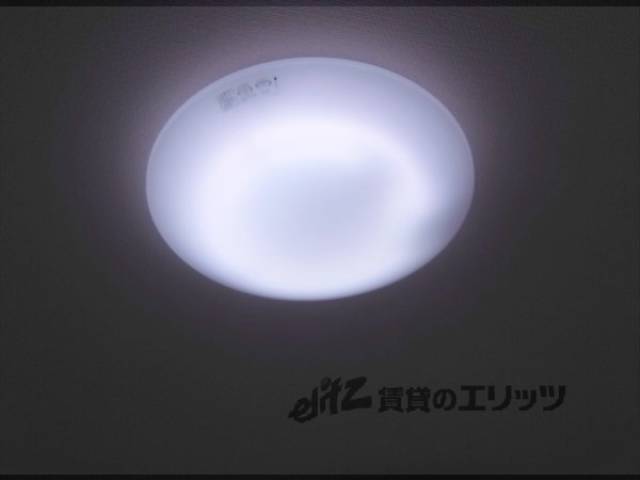 照明