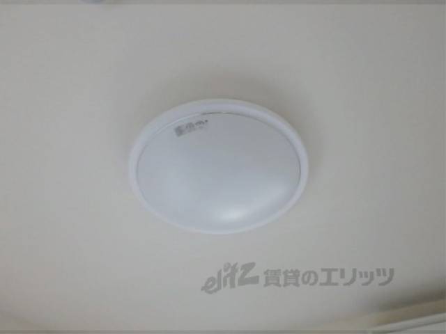照明