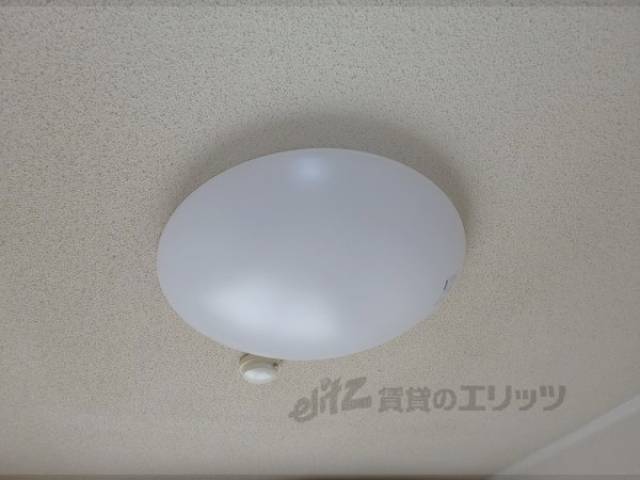 電気