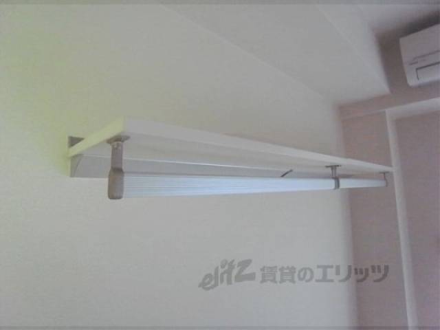棚