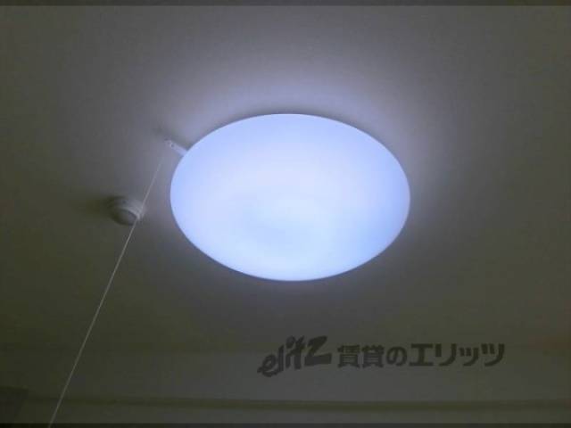 照明
