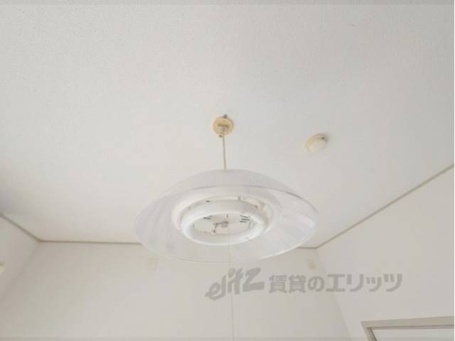 照明