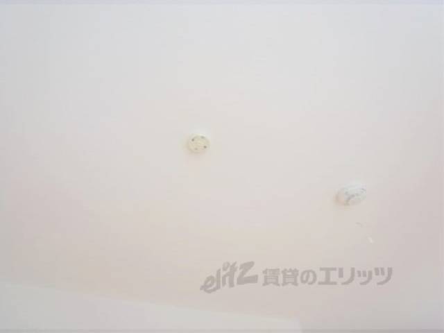 ソケット　照明がつけられます。