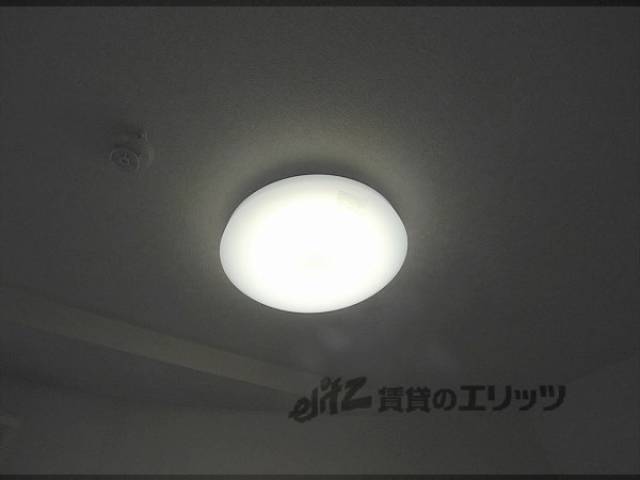 照明