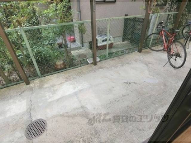 庭