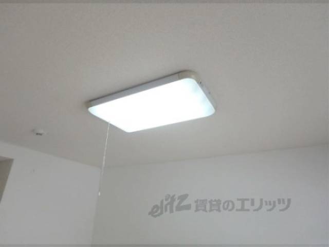 照明
