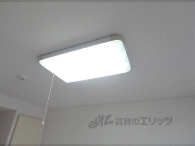 照明