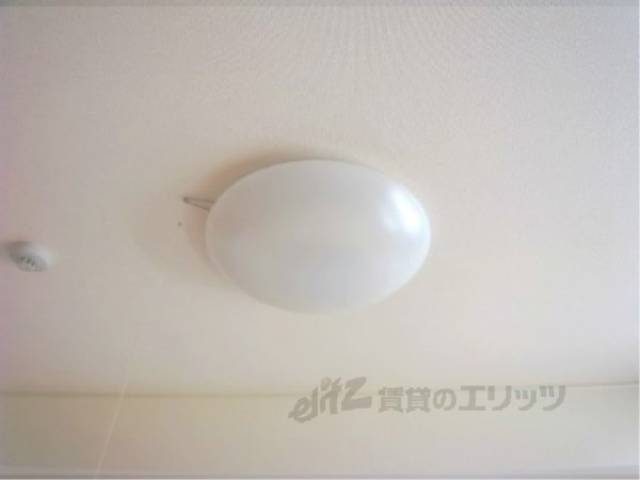 照明