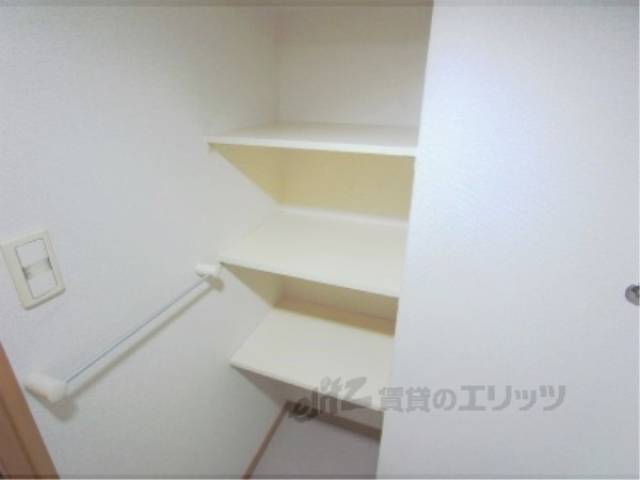 棚