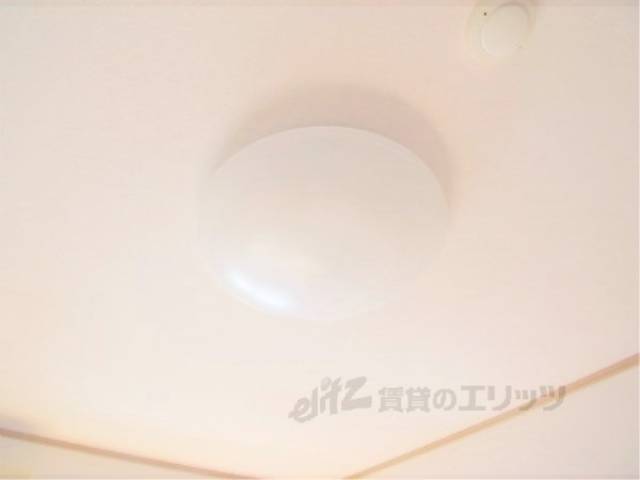 照明