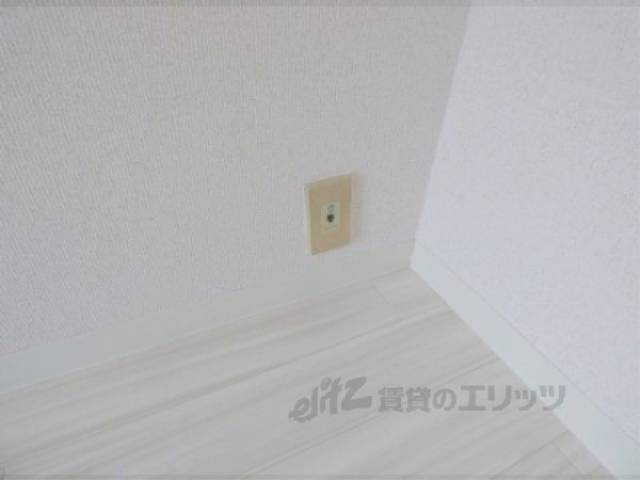 ネット線