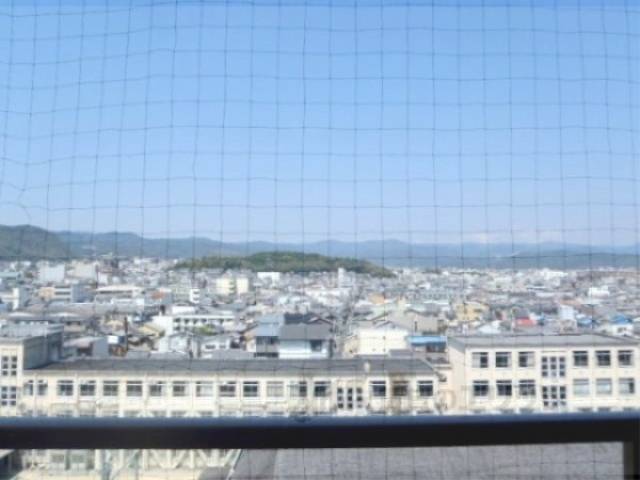 眺望