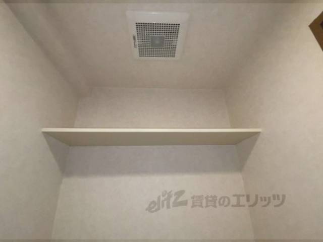 棚