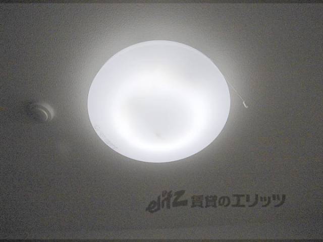 照明