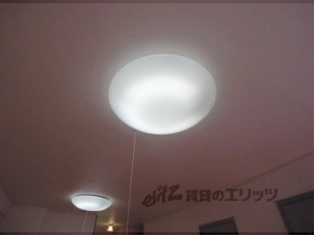 照明