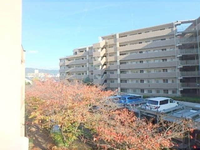 壁掛け
