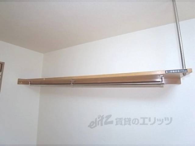 棚