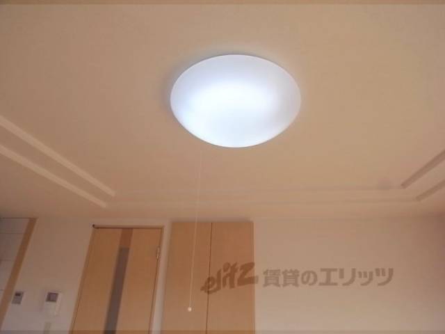 照明