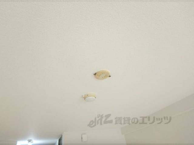 照明設置場所