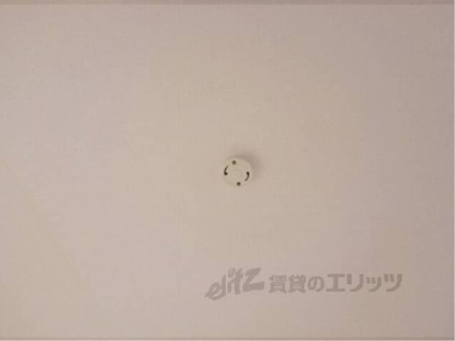 照明