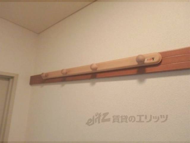 ハンガーフック　色々掛けることができます