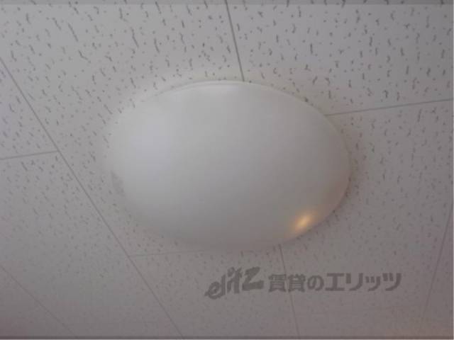 照明