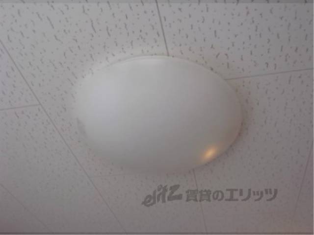 照明