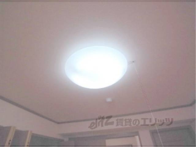 照明