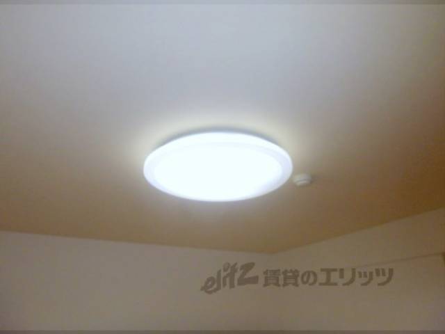 照明