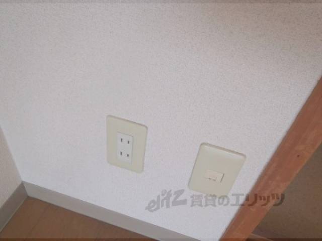 ネット線