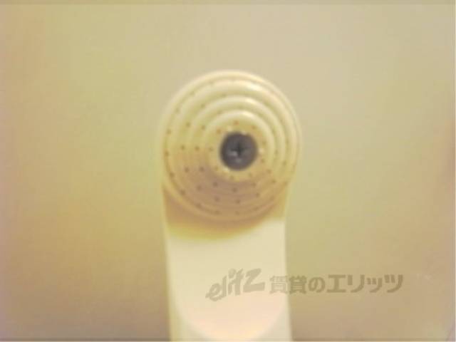 シャワーヘッド