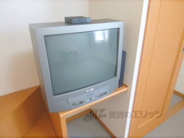 テレビ