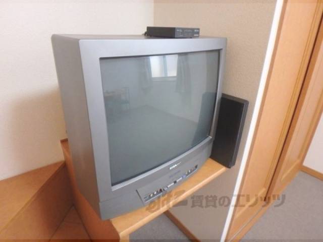 テレビ