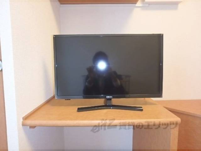 テレビ