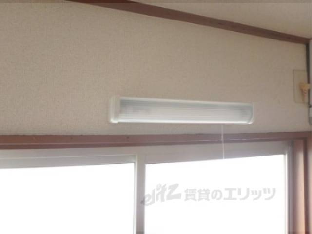 照明