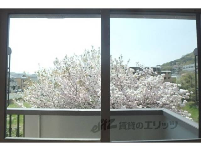 眺望　春はベランダから桜が見えます