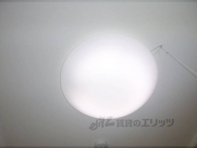 照明