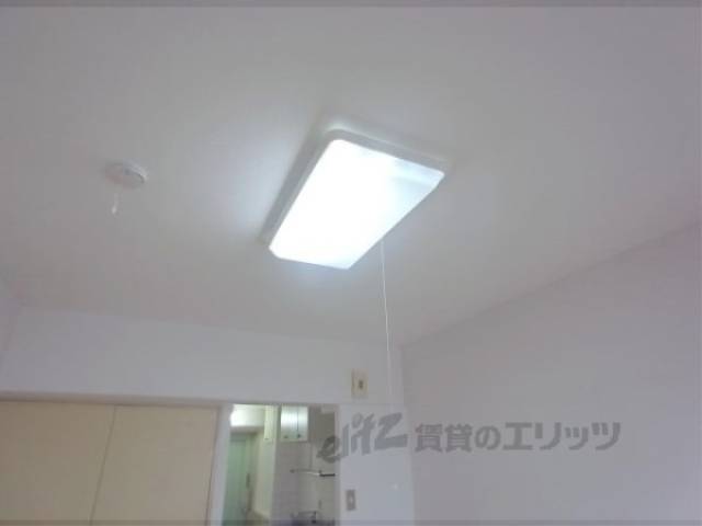 照明