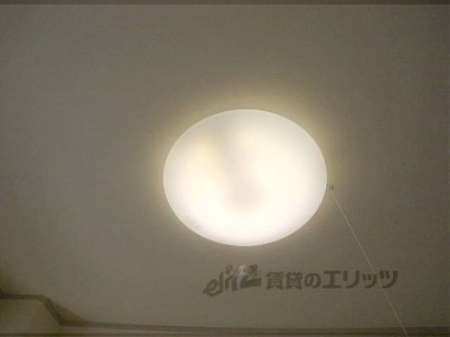 照明