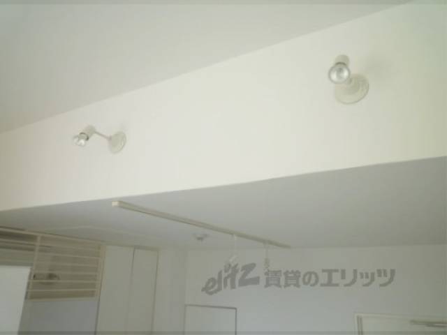 照明