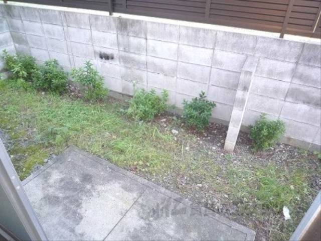 庭