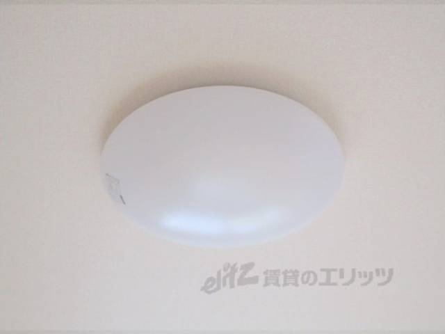 照明