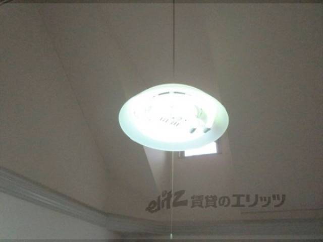 照明